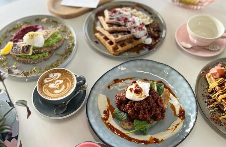 966X628 Victus 768x499