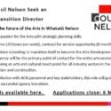 New Arts Role: Arts Council Nelson