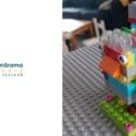Sanctuary Bird Art Competition: The Brook Waimārama Sanctuary