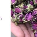 Our Janesce Skincare Loves Using Rose For Its Great Skin Healing Powers: Purely Natural Skincare