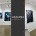 Our New Back Gallery Hang Takes Us On A Reflective Journey: Craig Potton Gallery + Store