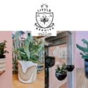 Some Very Lovely New Planters In From Local Ceramic Artist: Little Beehive Co-op