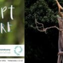 Sculpt Nature 2024: The Brook Waimārama Sanctuary