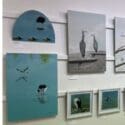 Collective Member Virginia Watson Art Has “spread Her Wings” This Month: Wall To Wall Art