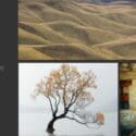 Autumn Back Gallery Sale On Now!: Craig Potton Gallery