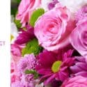 Get Your Orders In Now!: Expressions Florist