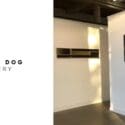 What You See Is What You See: Quiet Dog Gallery