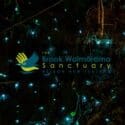 Glowworm Experience – Tour Guides Wanted: The Brook Waimārama Sanctuary