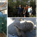 Exciting Arrival At Natureland Wildlife Trust