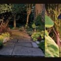 Looking For Landscape Lighting?: Storey Home Collection