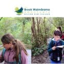 Te Taiao Rangers Holiday Programme: The Brook Waimārama Sanctuary