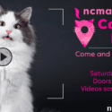 Cat Video Festival Fundraiser This Saturday, August 17th: Nelson Centre Of Musical Arts