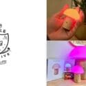 Who Can Resist Miniature… Not Us: Little Beehive Co-op