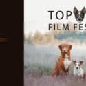 Top Dog Film Festival 2024: State Cinemas Nelson