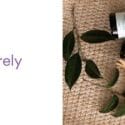 Why We Love Organic Janesce Skincare Products: Purely Natural Skincare