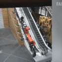 Aussies Being Idiots: Fails Around The World