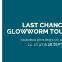 Last Opportunity To Take A Sanctuary Glowworm Tour In 2024: The Brook Waimārama Sanctuary