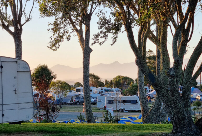 Blue Zone Summer 768x519