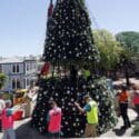 Christmas Gets A Lift As Big Tree Switched On