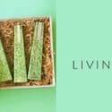 Gorgeous Gift Sets Of 3 Mini Icicles In Our Festive Pine: Living Light Candles Nelson