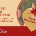 Trees Of Remembrance 2024: Hospice Shops – Nelson Tasman