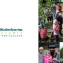 Our Annual Volunteer BBQ Party Is Rapidly Approaching: The Brook Waimārama Sanctuary