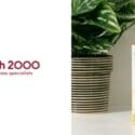 Medical Grade Antibacterial Manuka Honey: Health 2000 (Nelson)