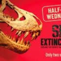 Half-Price Wednesdays: Nelson Provincial Museum