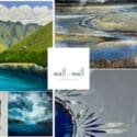 Last Chance To See Artwork By Current Guest Artists: Wall To Wall Art