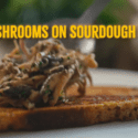 Creamy Mushrooms On Sourdough Toast With Poached Egg