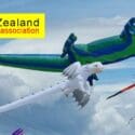Nelson Summer Kite Festival 2025 This Weekend