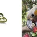 Come To One Of Our Kea Talks Everyday At 11:45am: Natureland Wildlife Trust