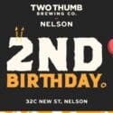 Two Thumb Nelson 2nd Birthday Party On 1 March 2025