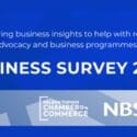Nelson Tasman Insights – Business Survey – 2025