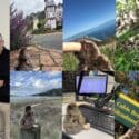 Kāpiti Kiwi’s Mission: Is Nelson Ready To Welcome His Kiwi Friends Home?: The Brook Waimārama Sanctuary