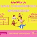 Safe Communities Workshop At Cultural Conversations Nelson