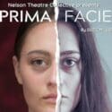 Prima Facie: The Suter Art Gallery