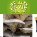 Delish Mushrooms At The Nelson Market This Week: The Nelson Market