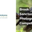 Spring Photography Competition — Now Open: The Brook Waimārama Sanctuary