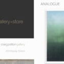 Anologue – Michael Dell 2 – 30 October: Craig Potton