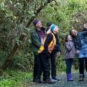 One More Week Of School Holiday Fun: The Brook Waimārama Sanctuary