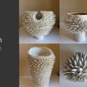 Welcoming Mandy Gargiulo To The Gallery With Her Beautiful Porcelain Works, Inspired By Nature: Craig Potton Gallery + Store