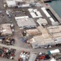 Coated Fish Factory Closure Confirmed By Sealord