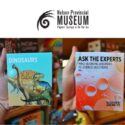 Check Out These Awesome Card Game And Quiz Packs In Our Museum Shop: Nelson Provincial Museum