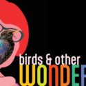 Birds & Other Wonders: NCMA