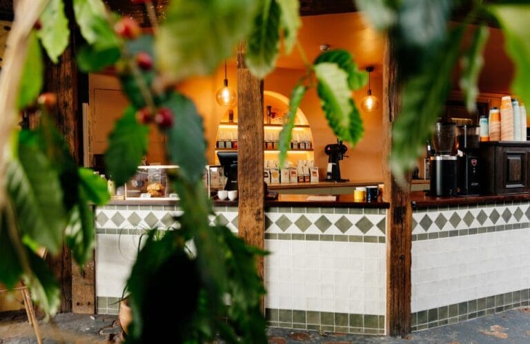 Sublime 966X628 1 768x499