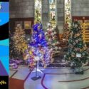 This Year’s Christmas Tree Festival Kicked Off On 27 November 2025, Marking The Start Of The Festive Season.