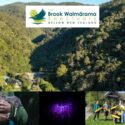 A Huge Thank You To Everyone Who Has Supported, Volunteered, Visited, And Stood Alongside Brook Waimārama Sanctuary.