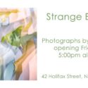 Strange Botanicals Opening On 6 March At Nelson City Framers & The Gallery