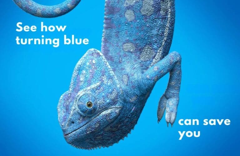 966X628 2 Degrees 768x499